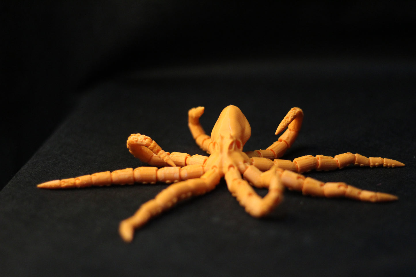 Polvo Articulado Octopus
