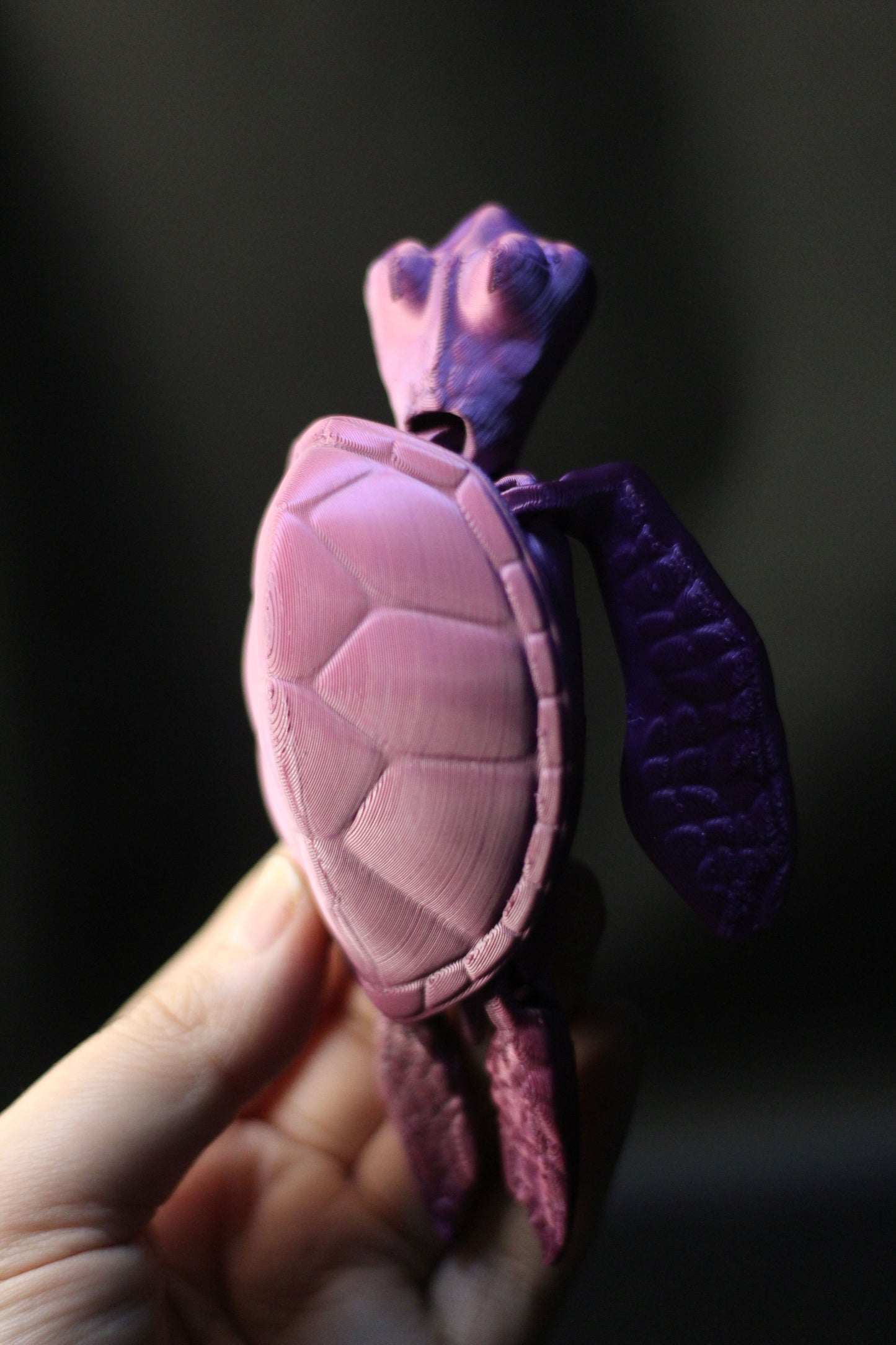 Tartaruga Marinha 3D Articulada