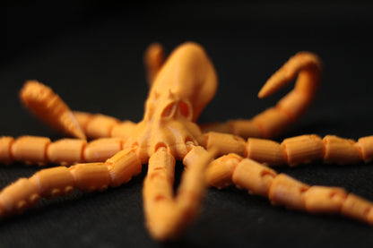 Polvo Articulado Octopus